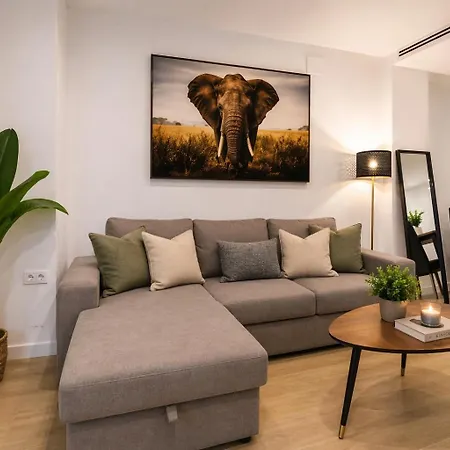 Ohana Urban Centro * Málaga